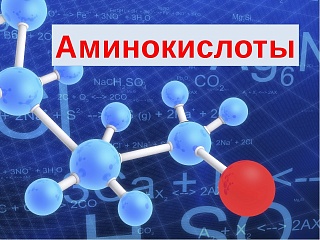 Новый завод по производству аминокислот создадут в Шахтах