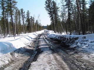 Дороги в Югре пойдут в обход территорий коренных народов